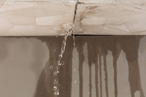 Professional Structural Drying technician working in Rogers, OH